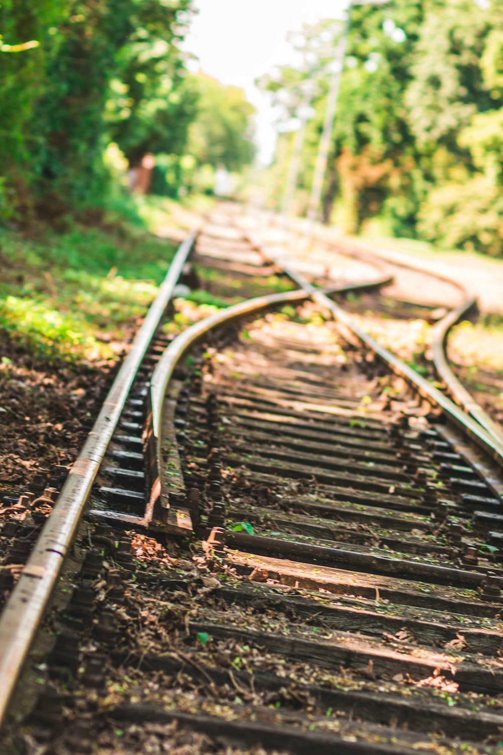 gray train tracks