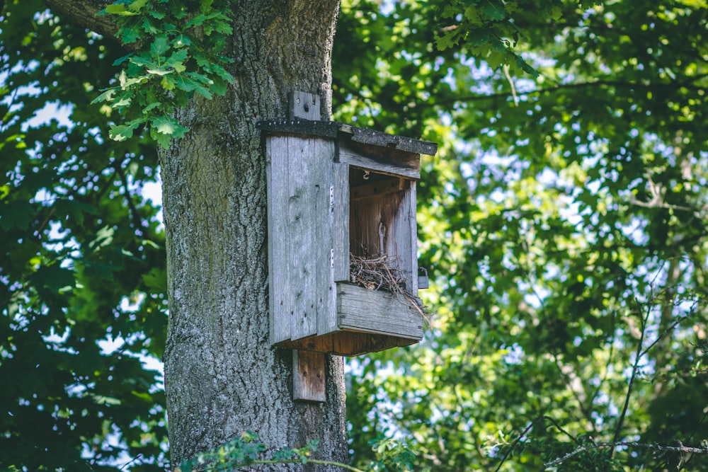 birdhouse on tree during day