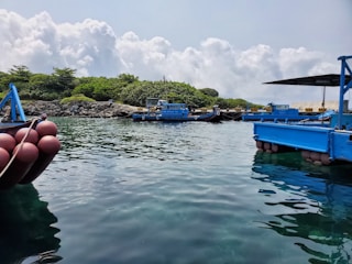 Several blue-painted barges are floating in a calm body of water with clear reflections visible on the surface. The background features a line of dense green vegetation and a rocky shoreline under a sky filled with fluffy white clouds. Large red buoys are attached to the barges.