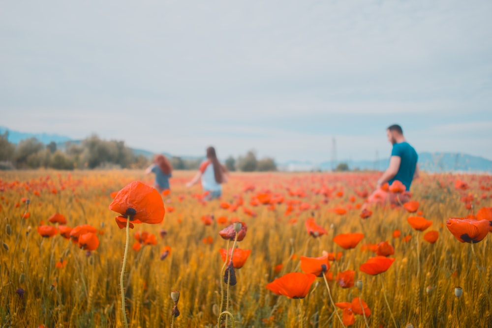 personnes marchant sur un champ de fleurs aux pétales d’orange