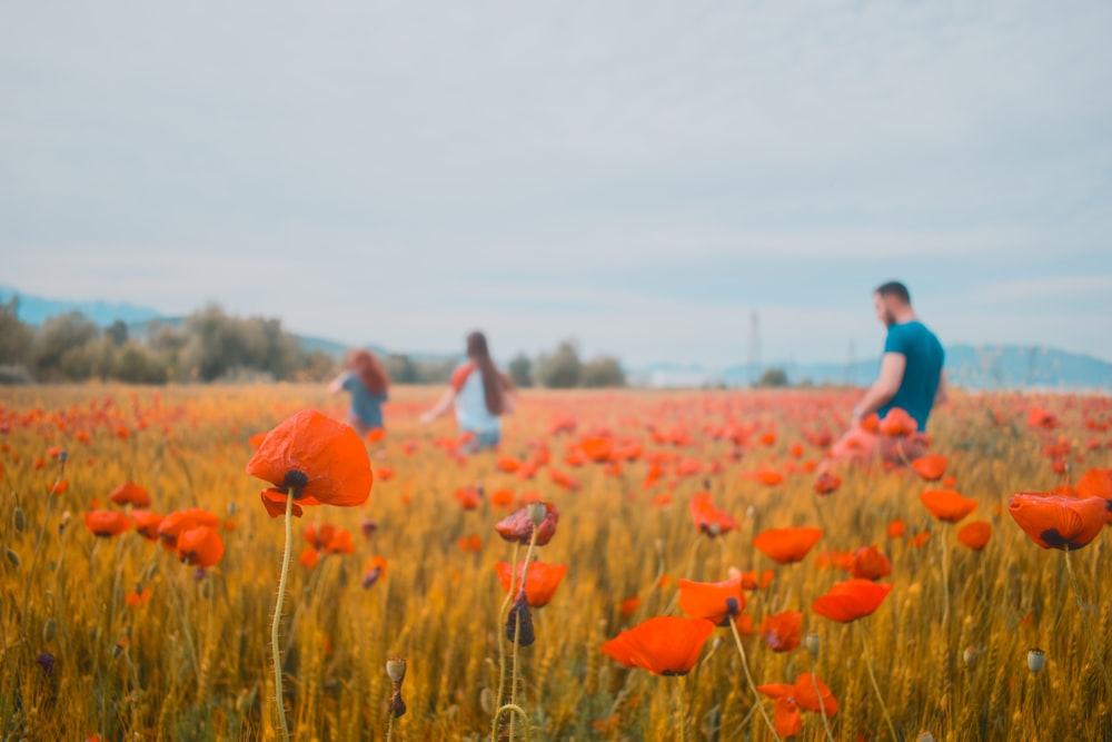 people walking on orange petaled flower field