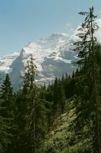 Swiss National Park: The Alps' Only National Park