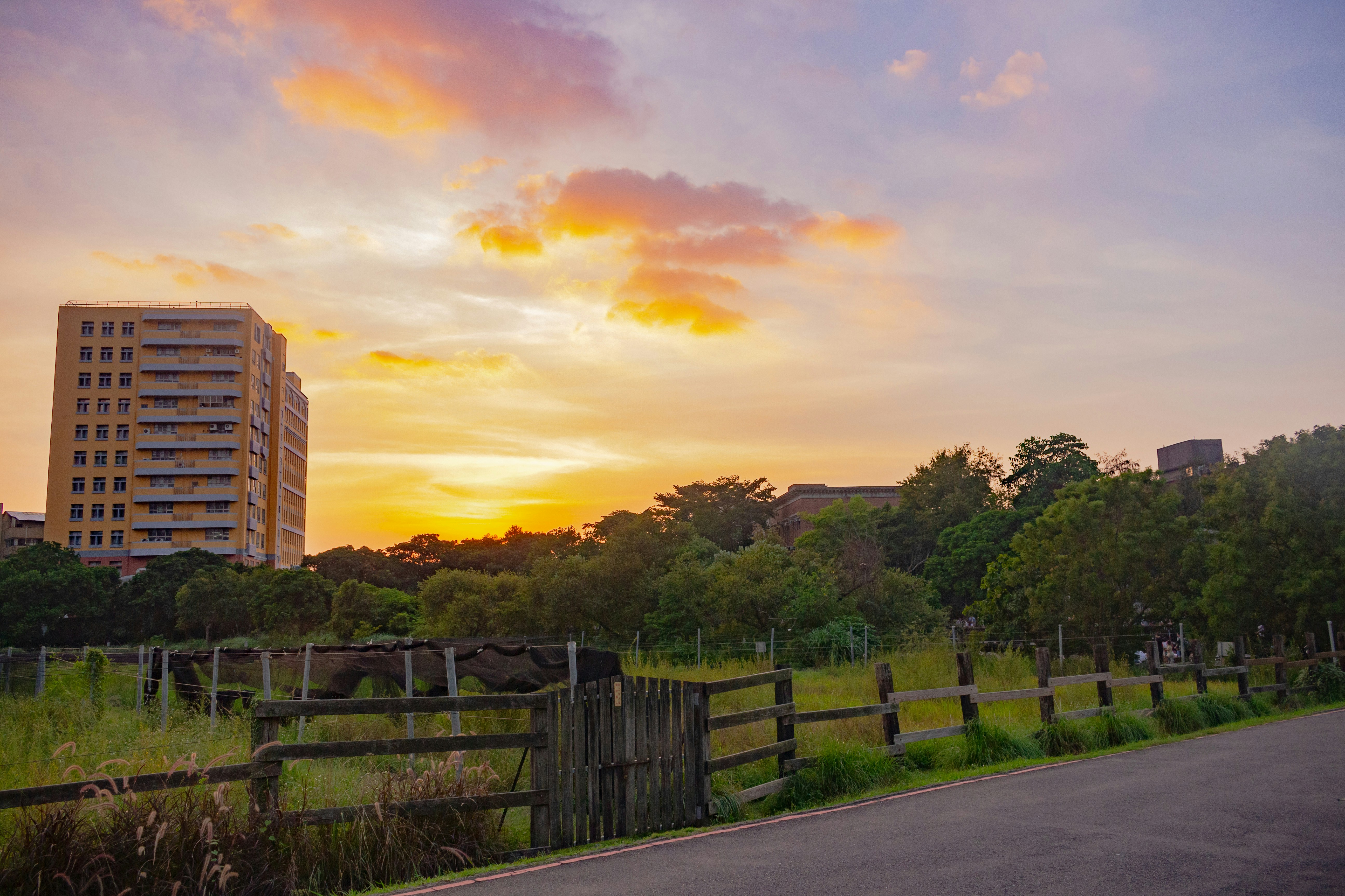 Photo by andywang02021