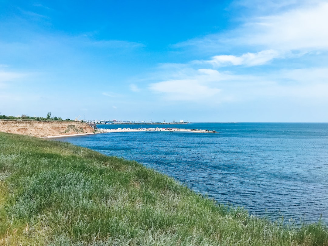 green grass covered beach,
