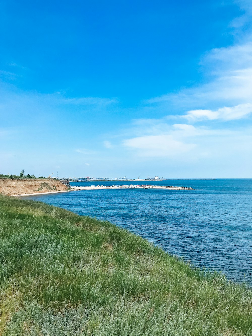 green grass field on seashore