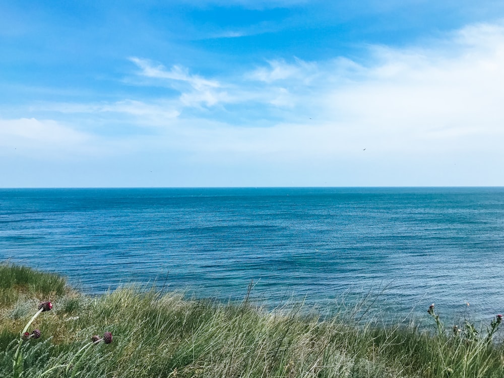 Acqua di mare calma blu a Daytine