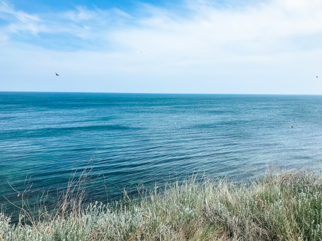 ocean and grass during day,