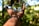 A hand wearing beaded bracelets is extended with the palm facing up, holding a clear glass orb that reflects the surrounding lush green foliage. The background is a forest with sunlight filtering through the leaves, creating a serene and natural environment.