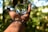 A hand wearing beaded bracelets is extended with the palm facing up, holding a clear glass orb that reflects the surrounding lush green foliage. The background is a forest with sunlight filtering through the leaves, creating a serene and natural environment.
