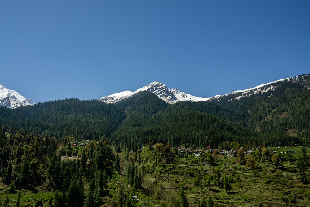 montagna verde sotto il cielo blu