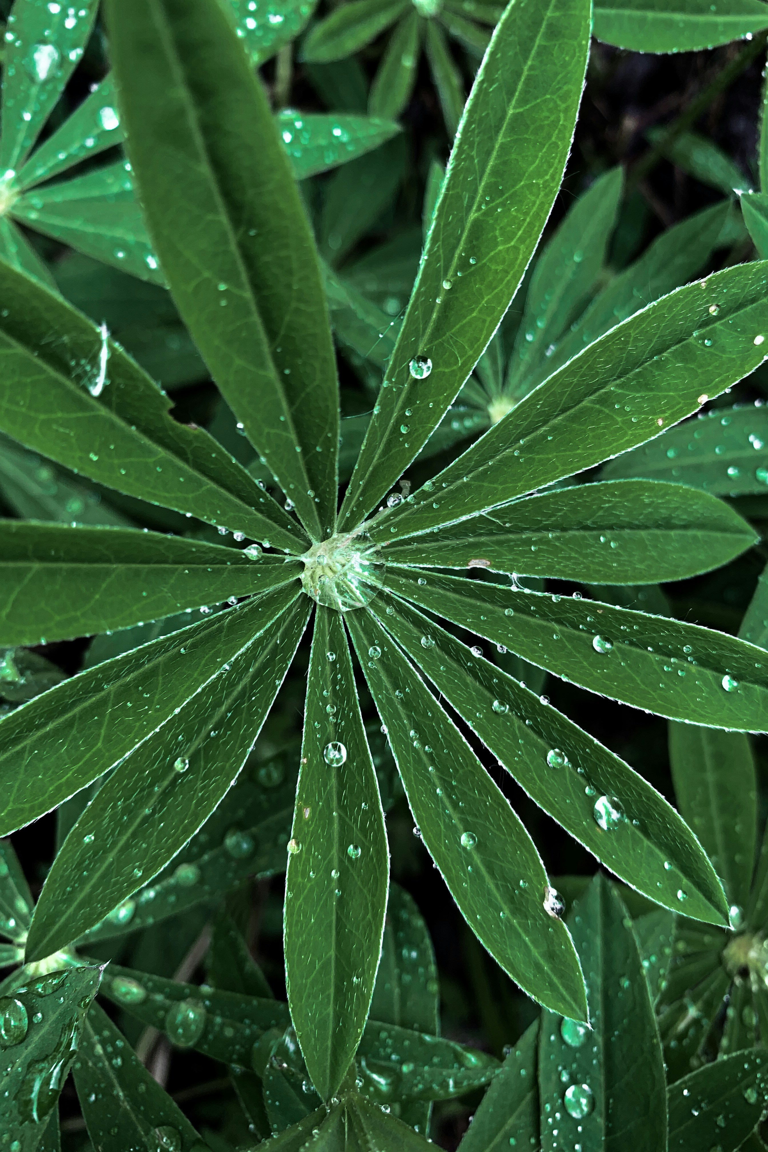 Photo by kekse_und_ich