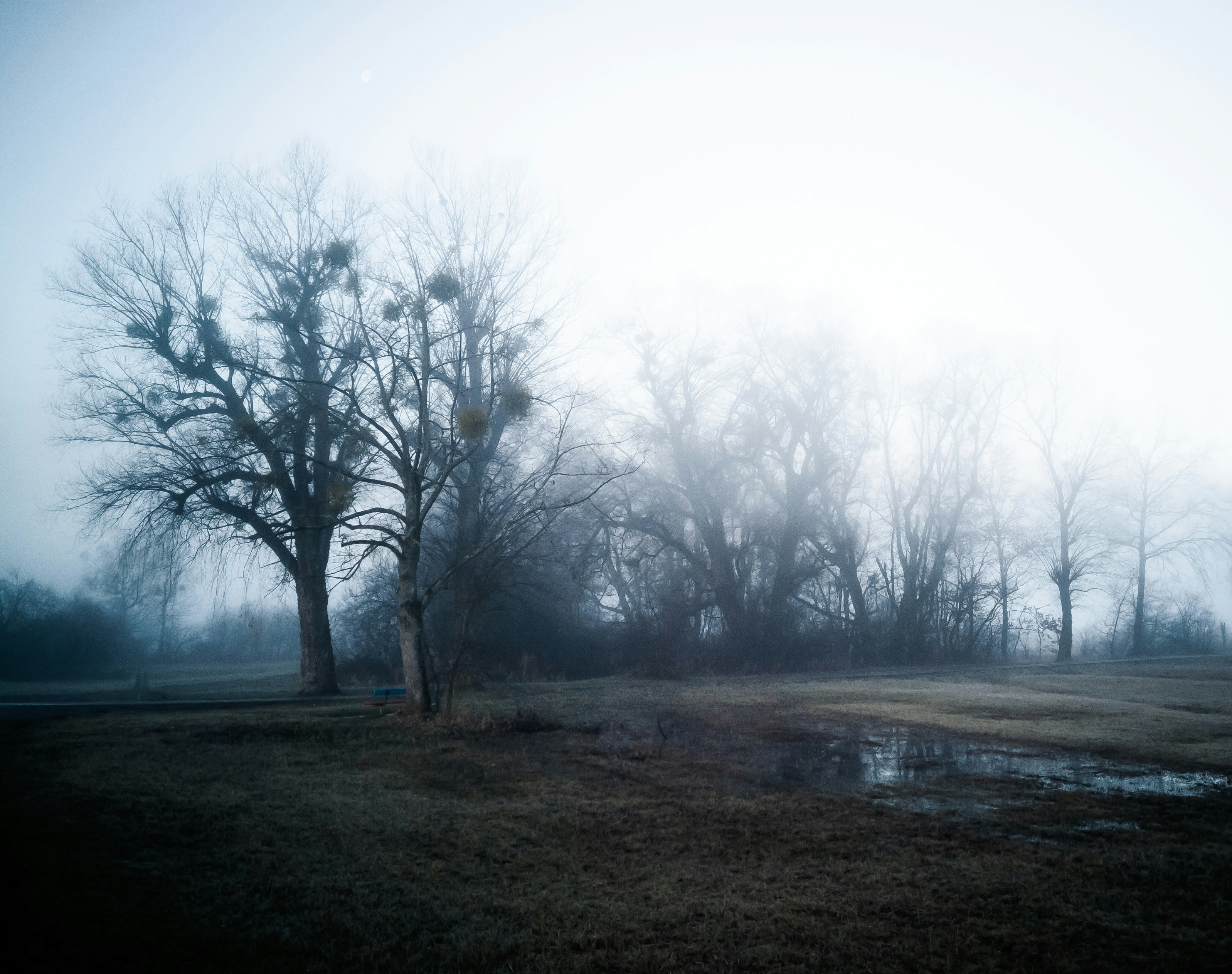 Photo by yvesmoret