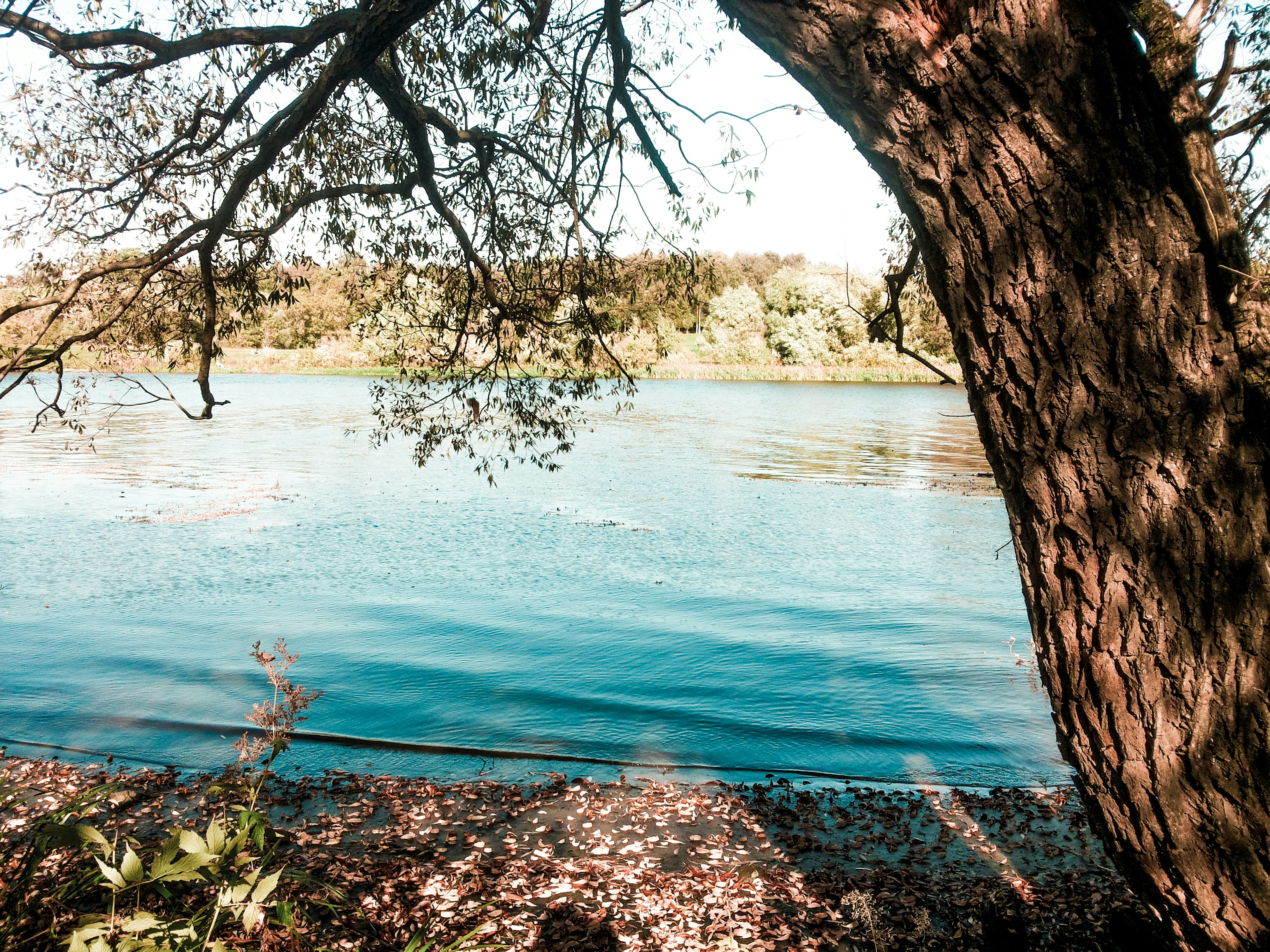 Photo by juliacertain