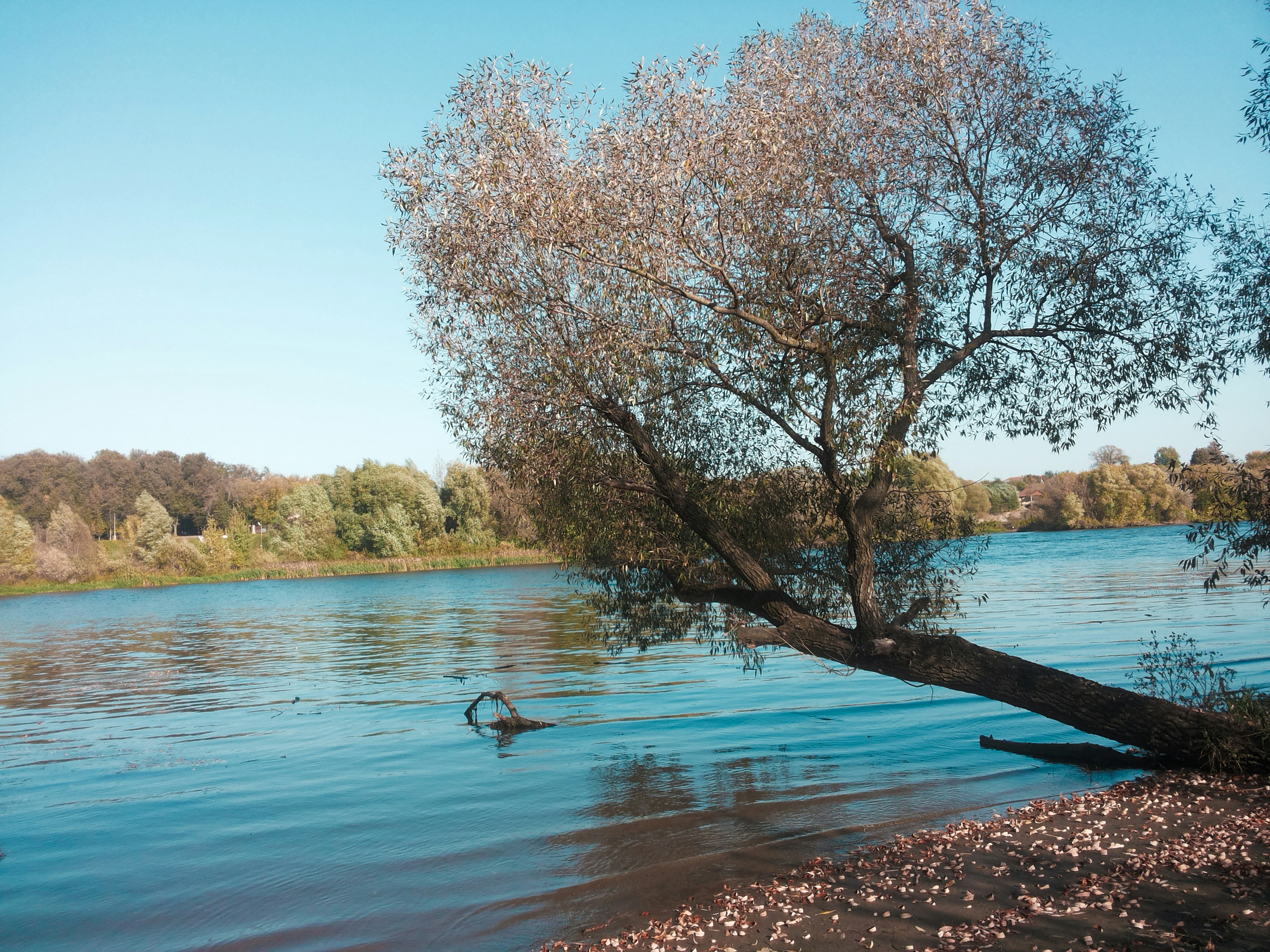 Photo by juliacertain