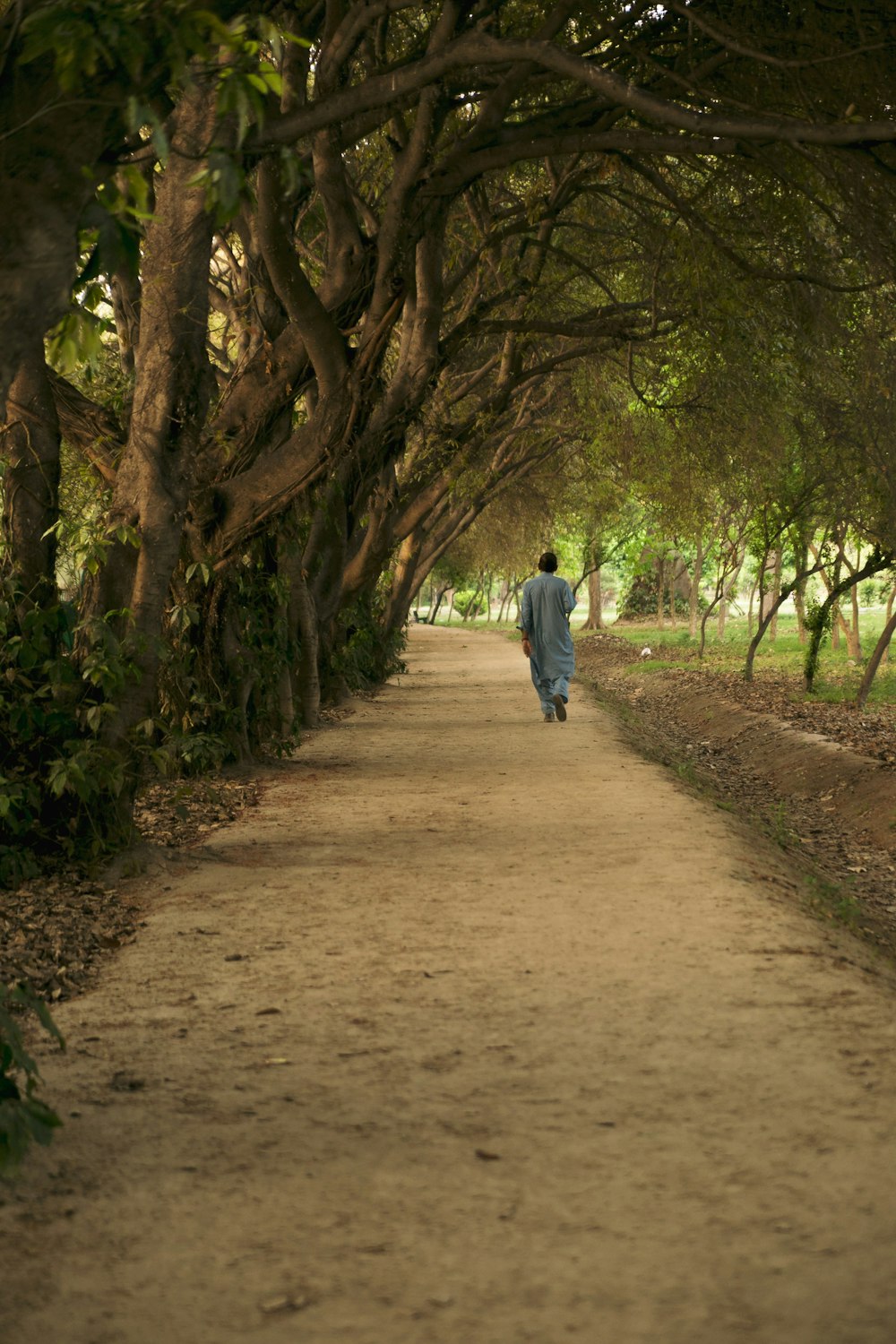 person walking in pathway during daytime