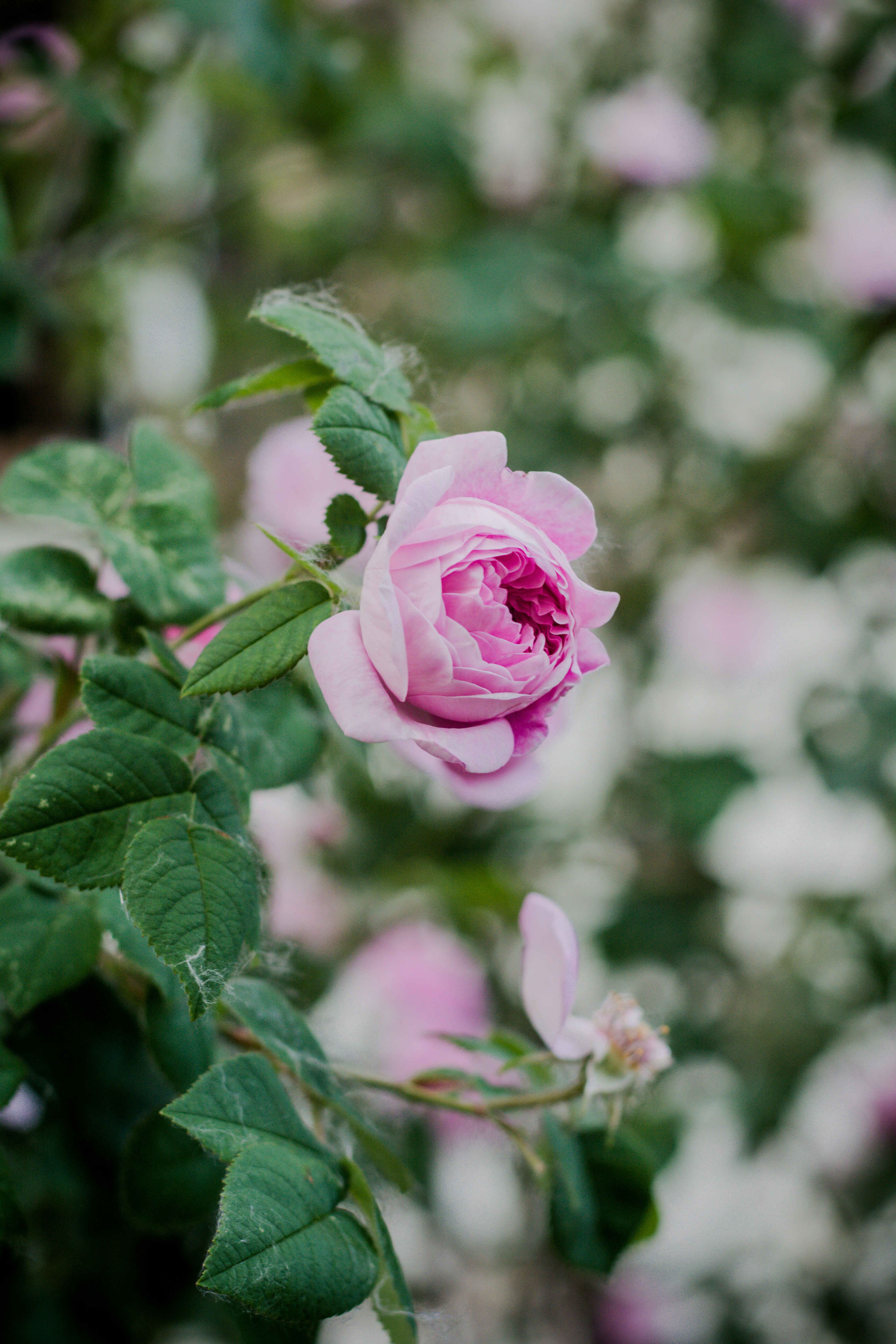 Photo by eugenivy_now