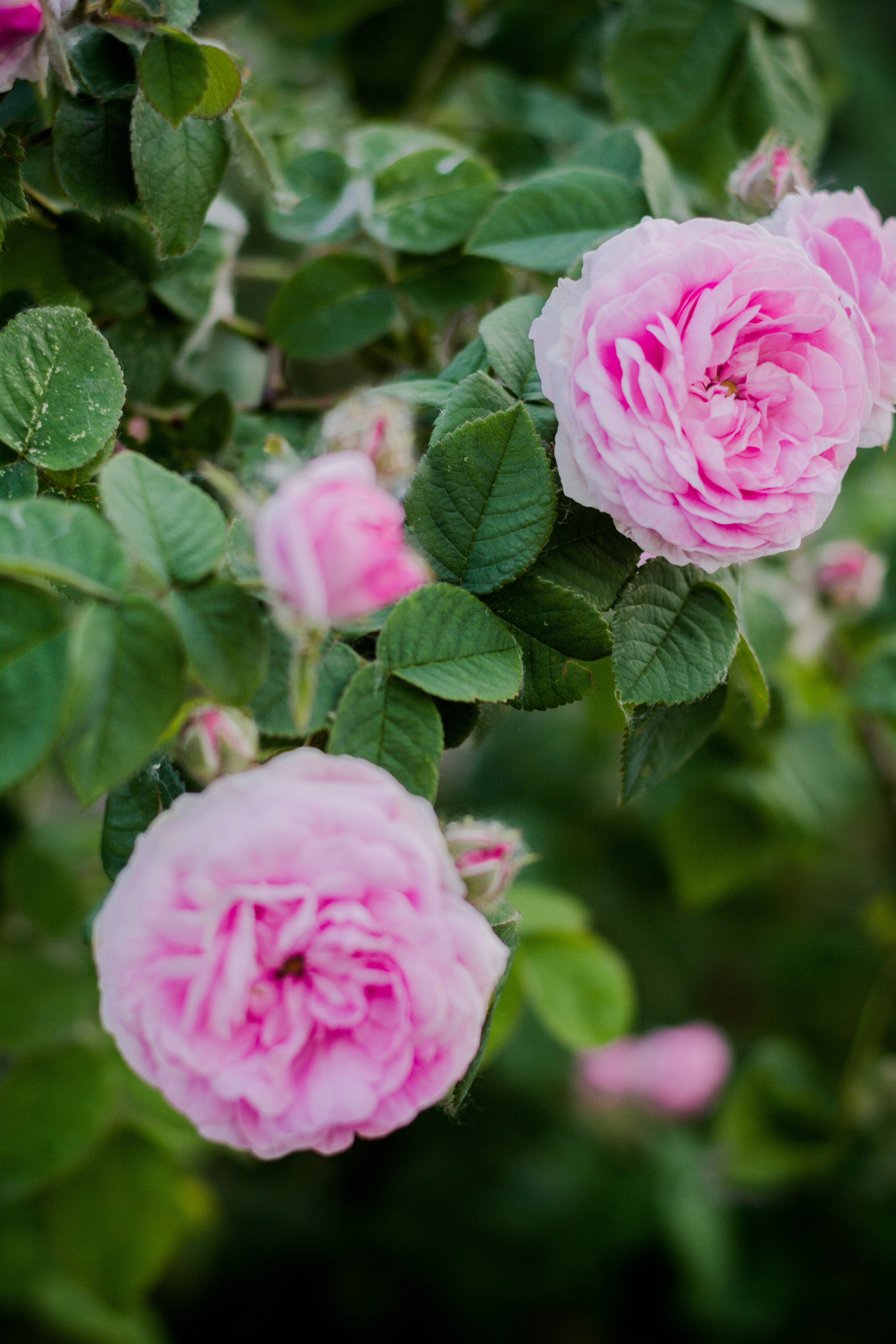 Photo by eugenivy_now