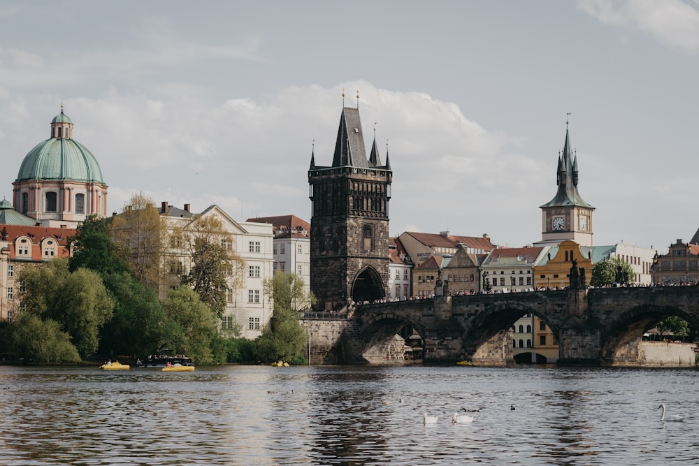 white and brown buildings near body of water