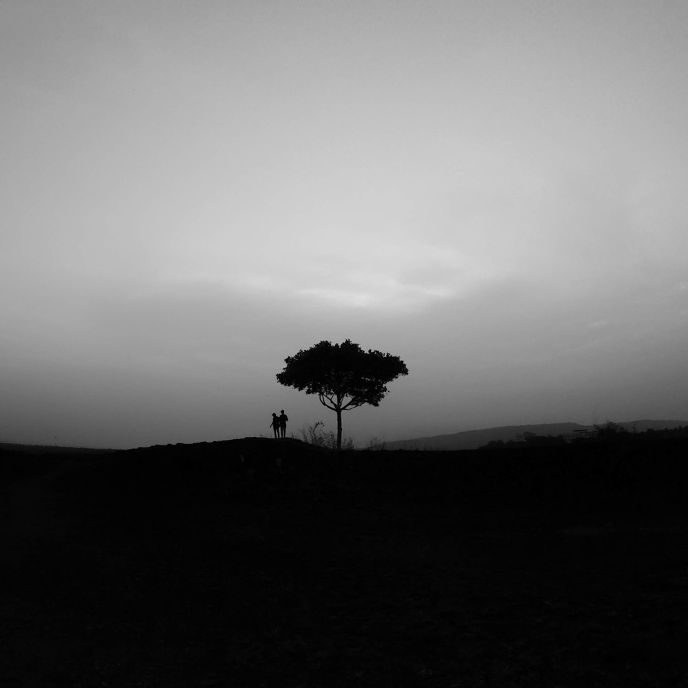 couple standing under lone tree on top of hill