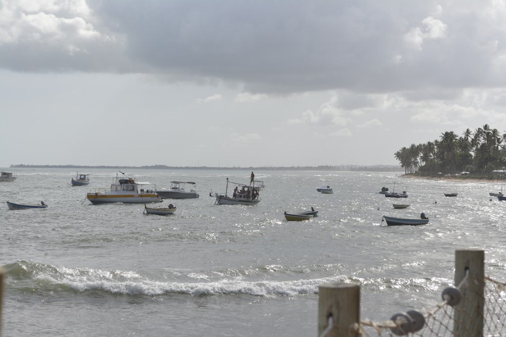 Grupo de barcos a motor