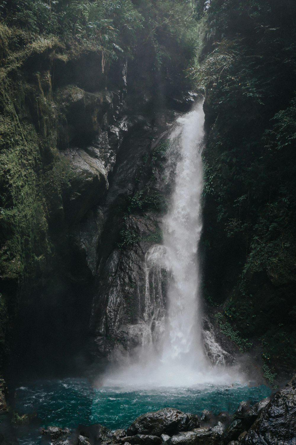 waterfalls surrounded by trees