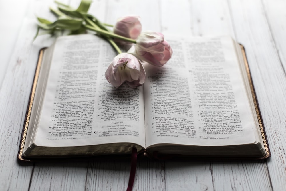 pink petaled flowers on open book