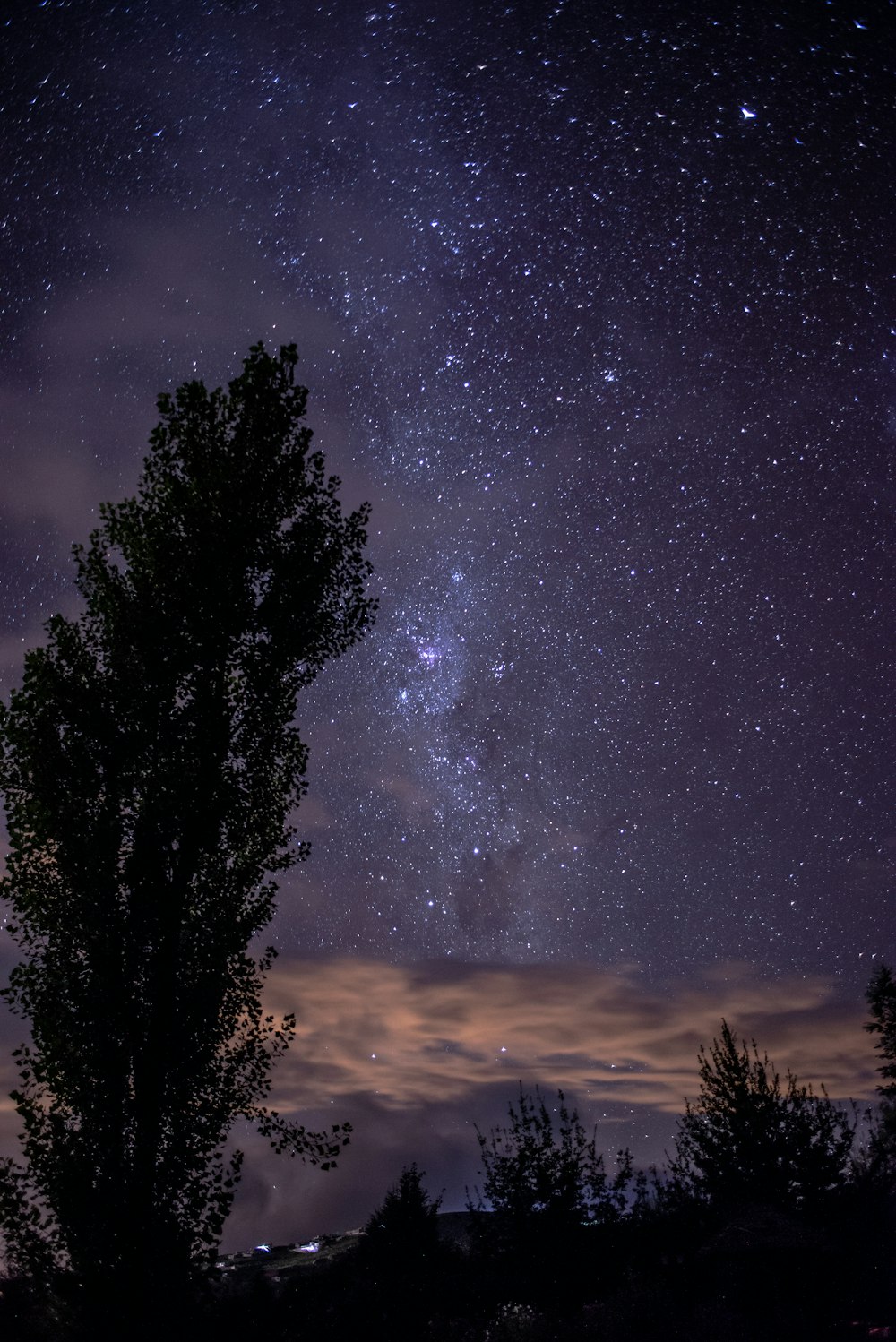 albero e cielo verdi