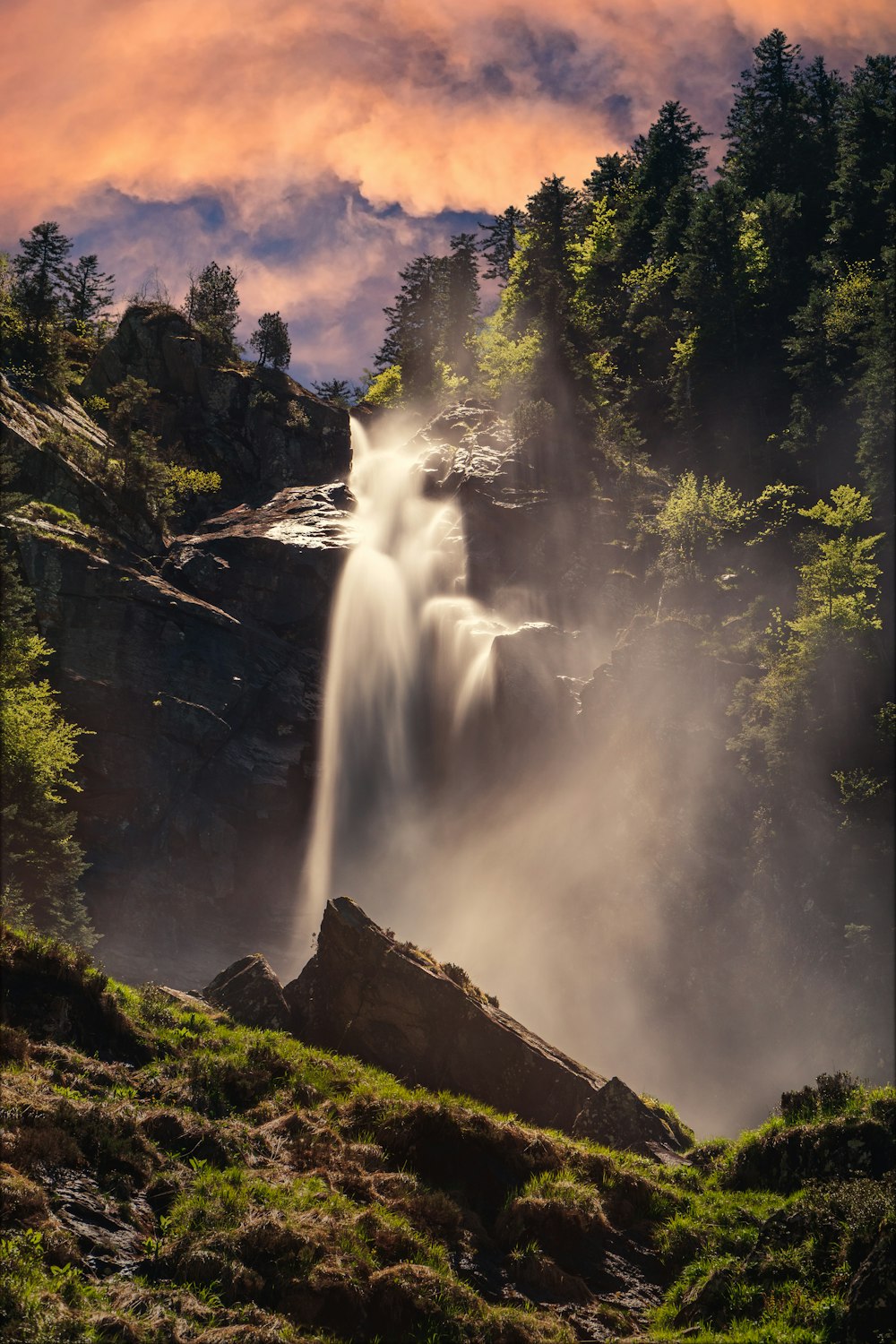 waterfalls near trees