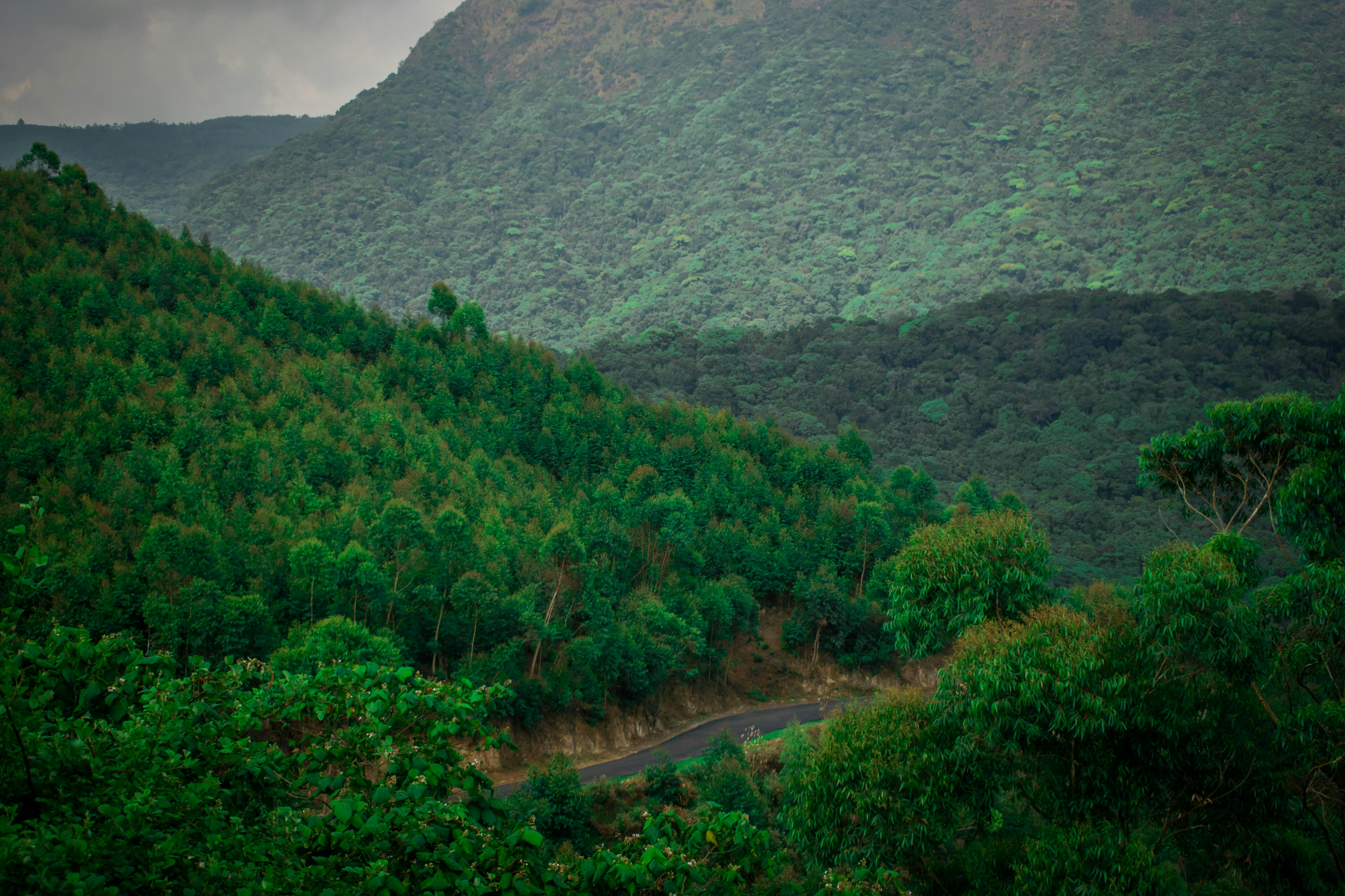 A beautiful click from the route of Cochin to Munnar