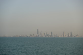 skyline photography of buildings during daytime