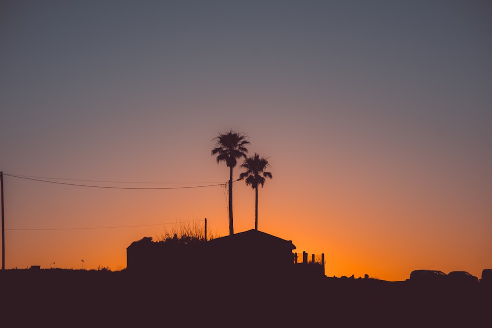 silhouette photography of house near palm tree during golden hour