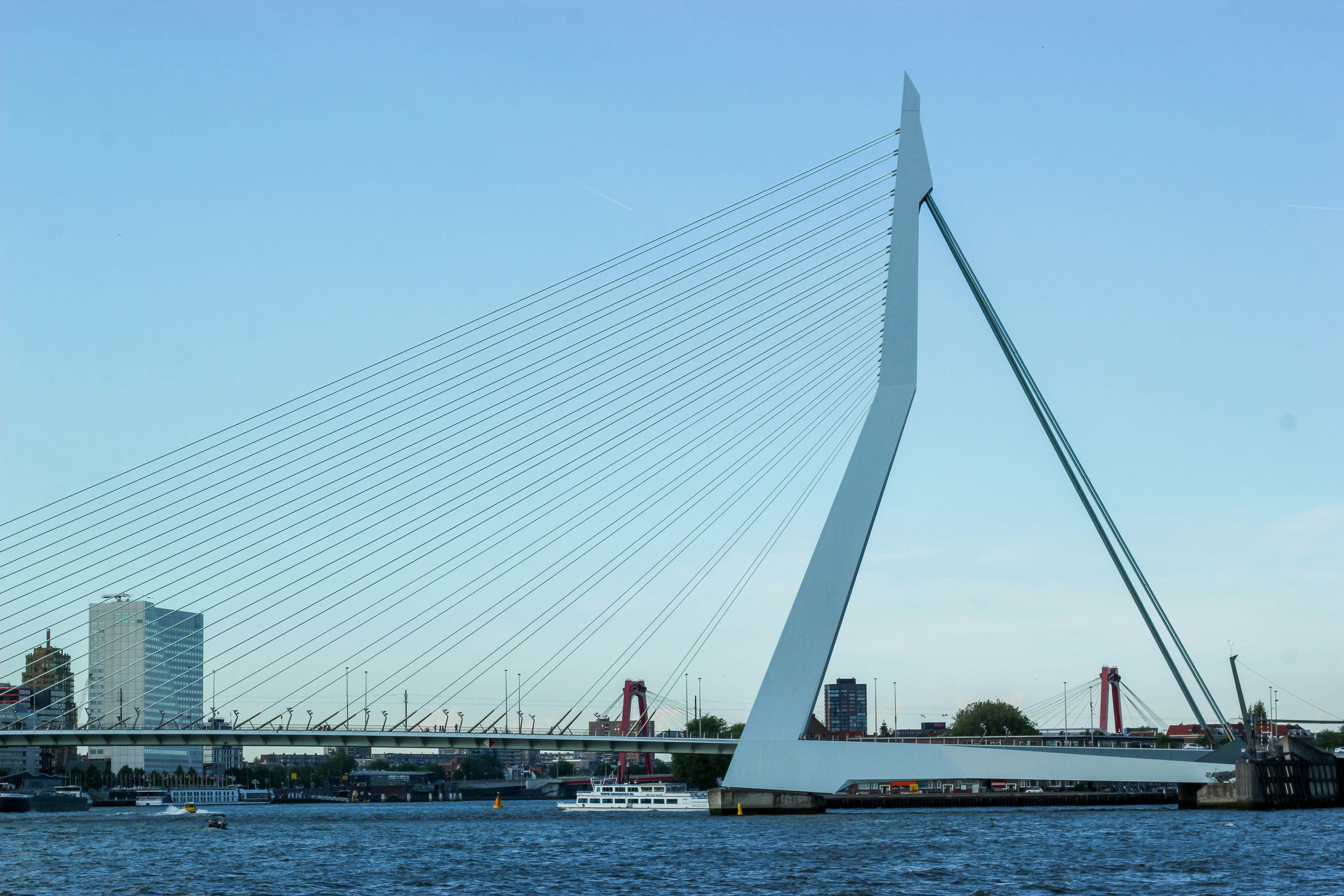 architectural photography of cable-stayed bridge