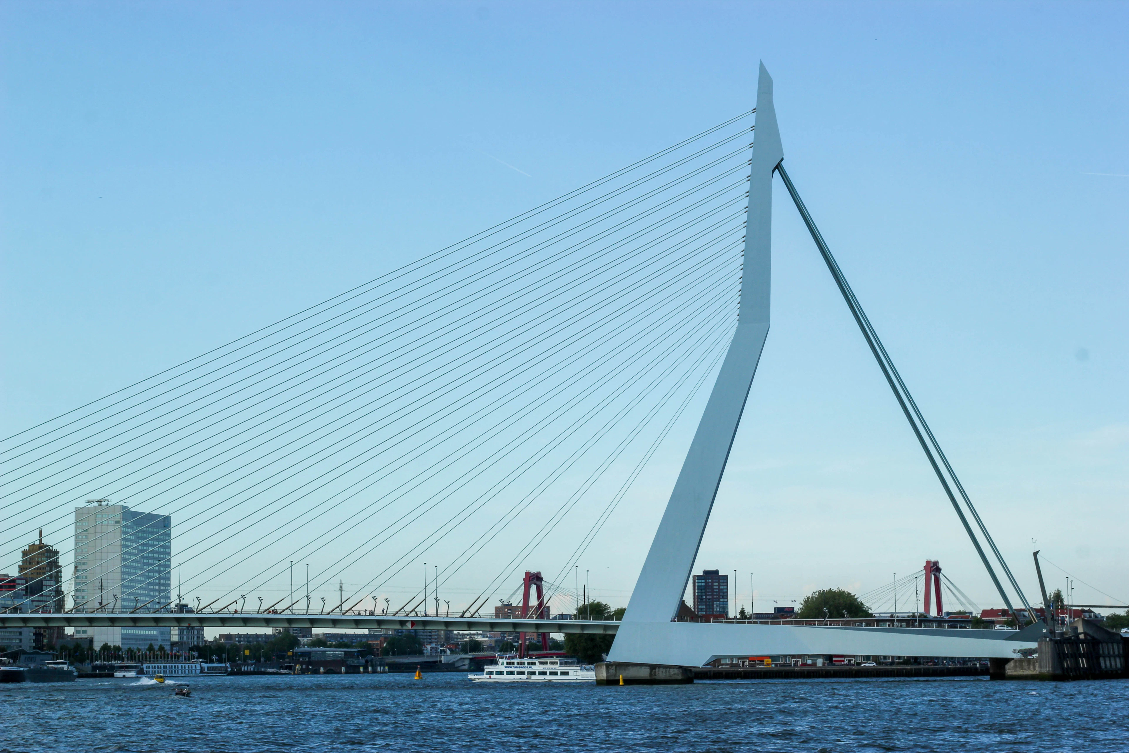 The white pylon and cables of the Erasmus Bridge spanning the Nieuwe Maas in Rotterdam, with the red Willemsbrug visible beyond