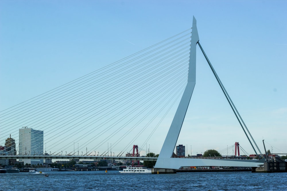 architectural photography of cable-stayed bridge
