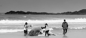 Three people attending to a stranded whale on a sandy beach with waves in the background and rocky outcrops further in the distance. The scene is in black and white.