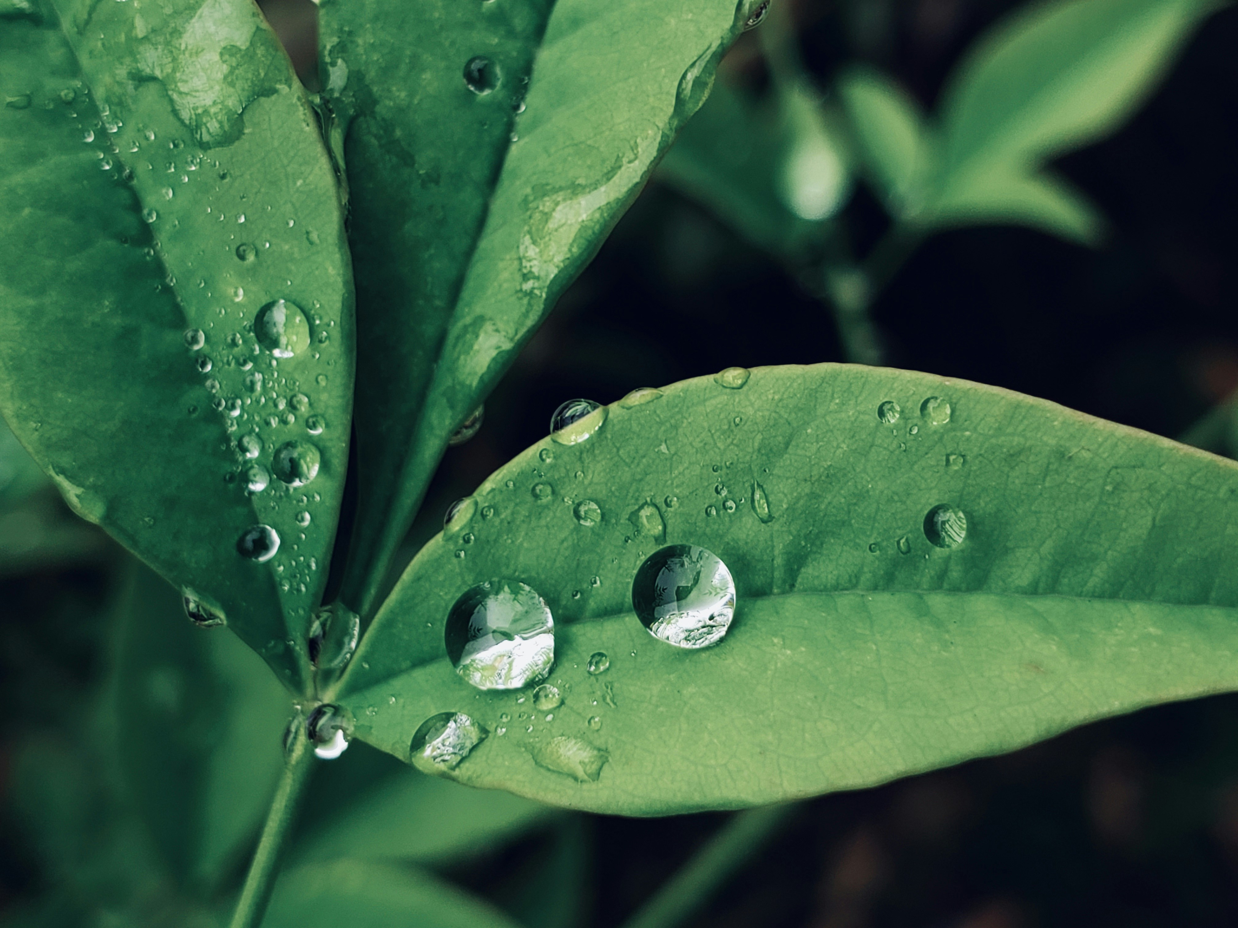 Photo by arriveintime