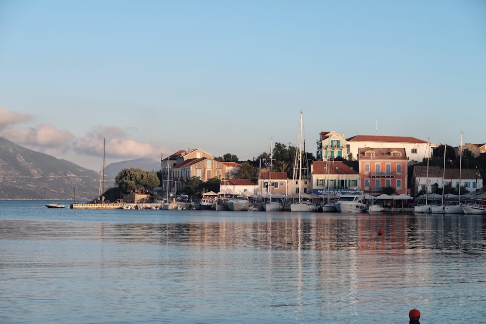 white and brown concrete buildings near body of water