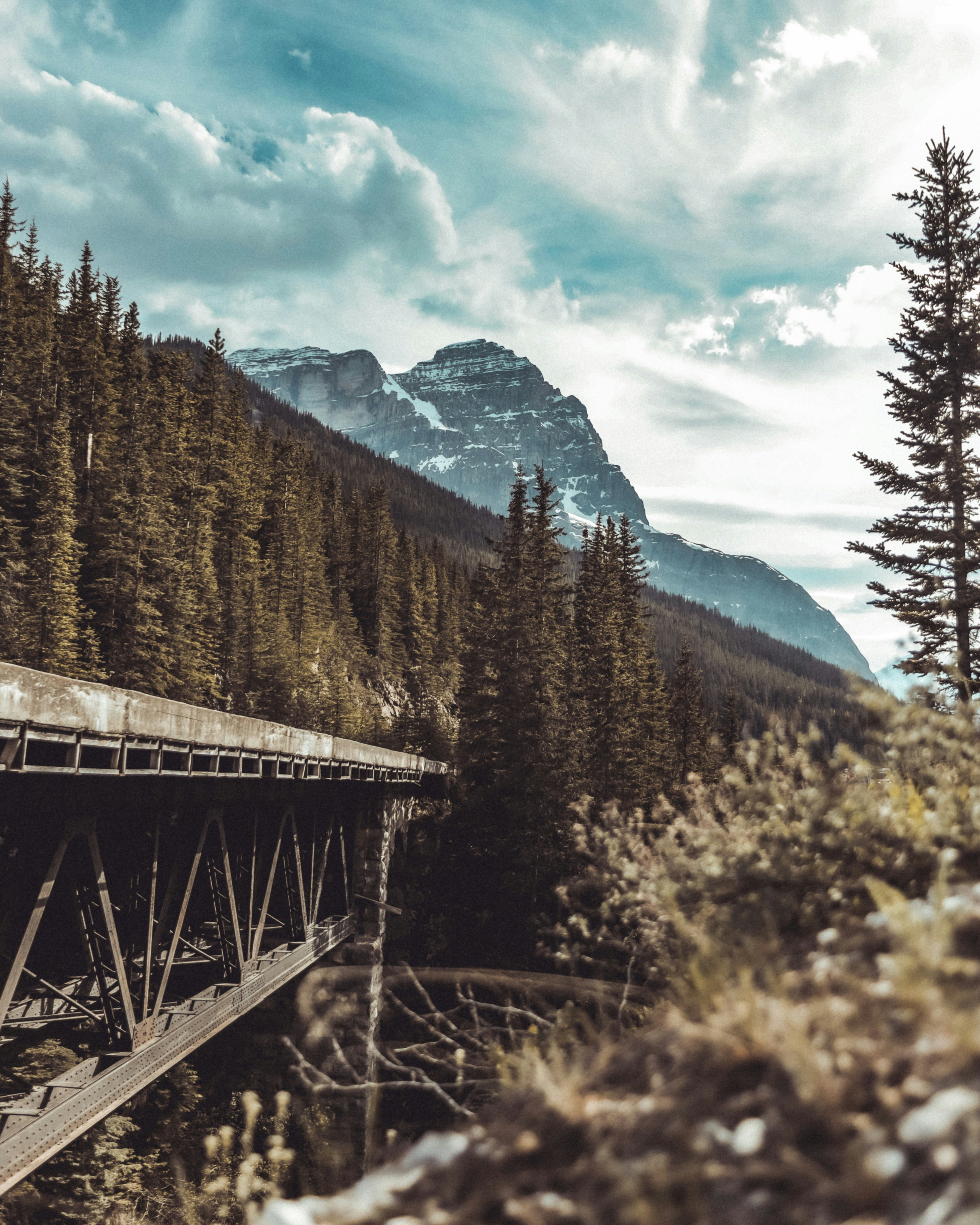 Photo by bencehorvai