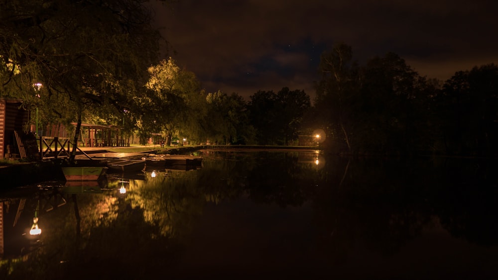 silhouette photo of river beside trees