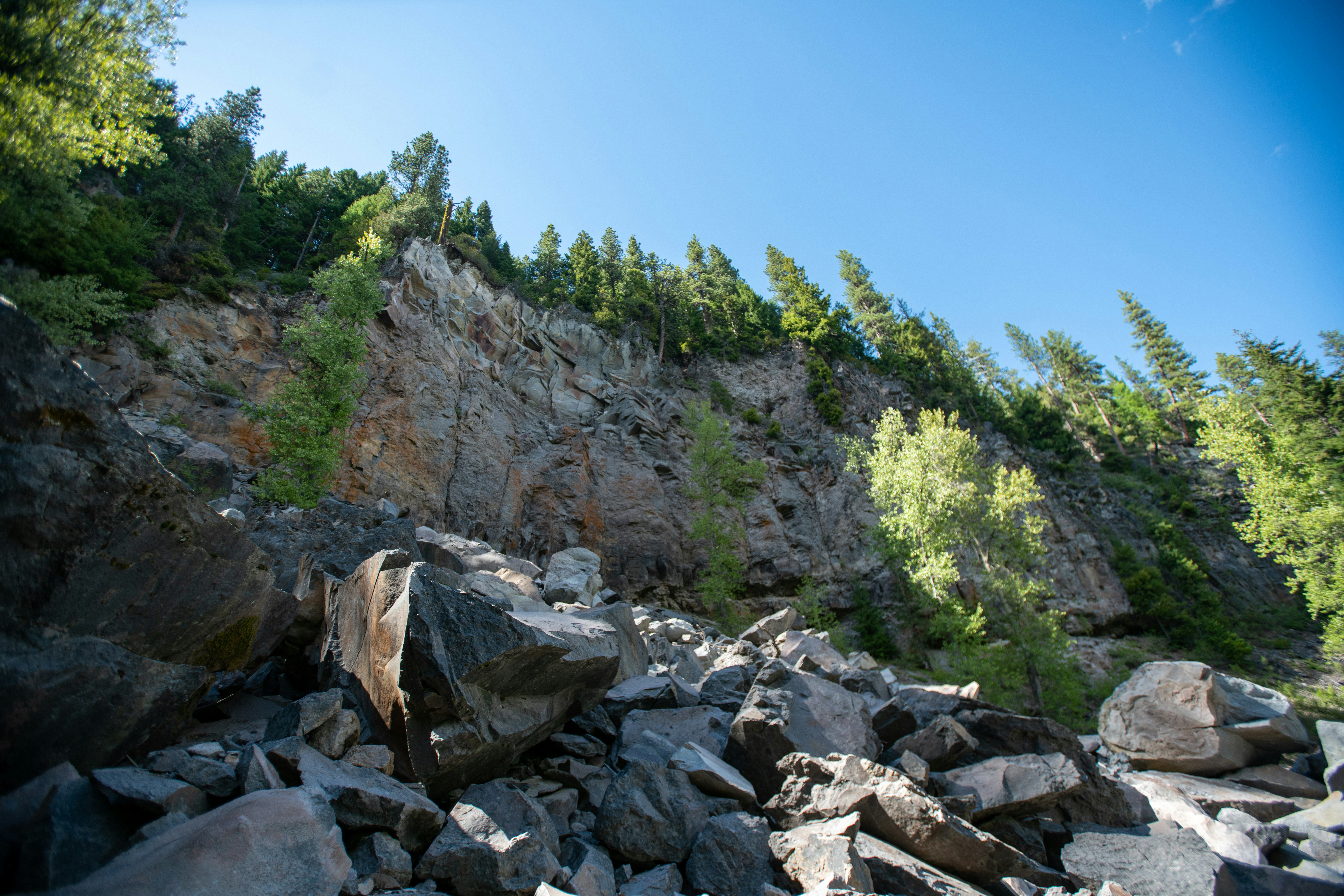 Photo by tylerdonaghy