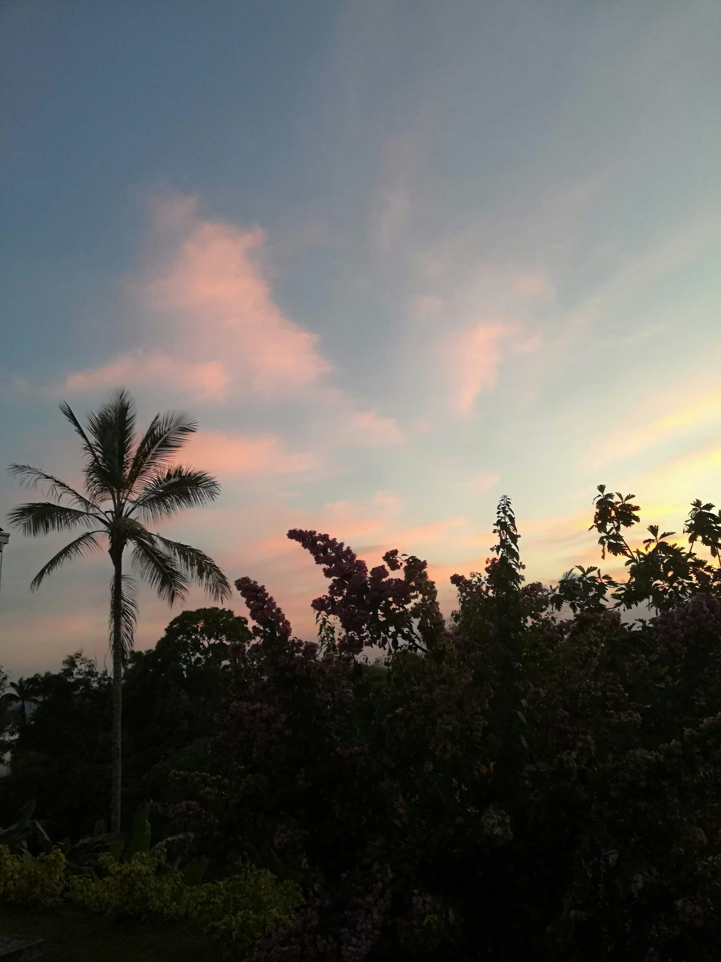 Photo by lauracordido