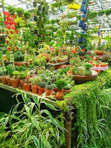 pile of green plants