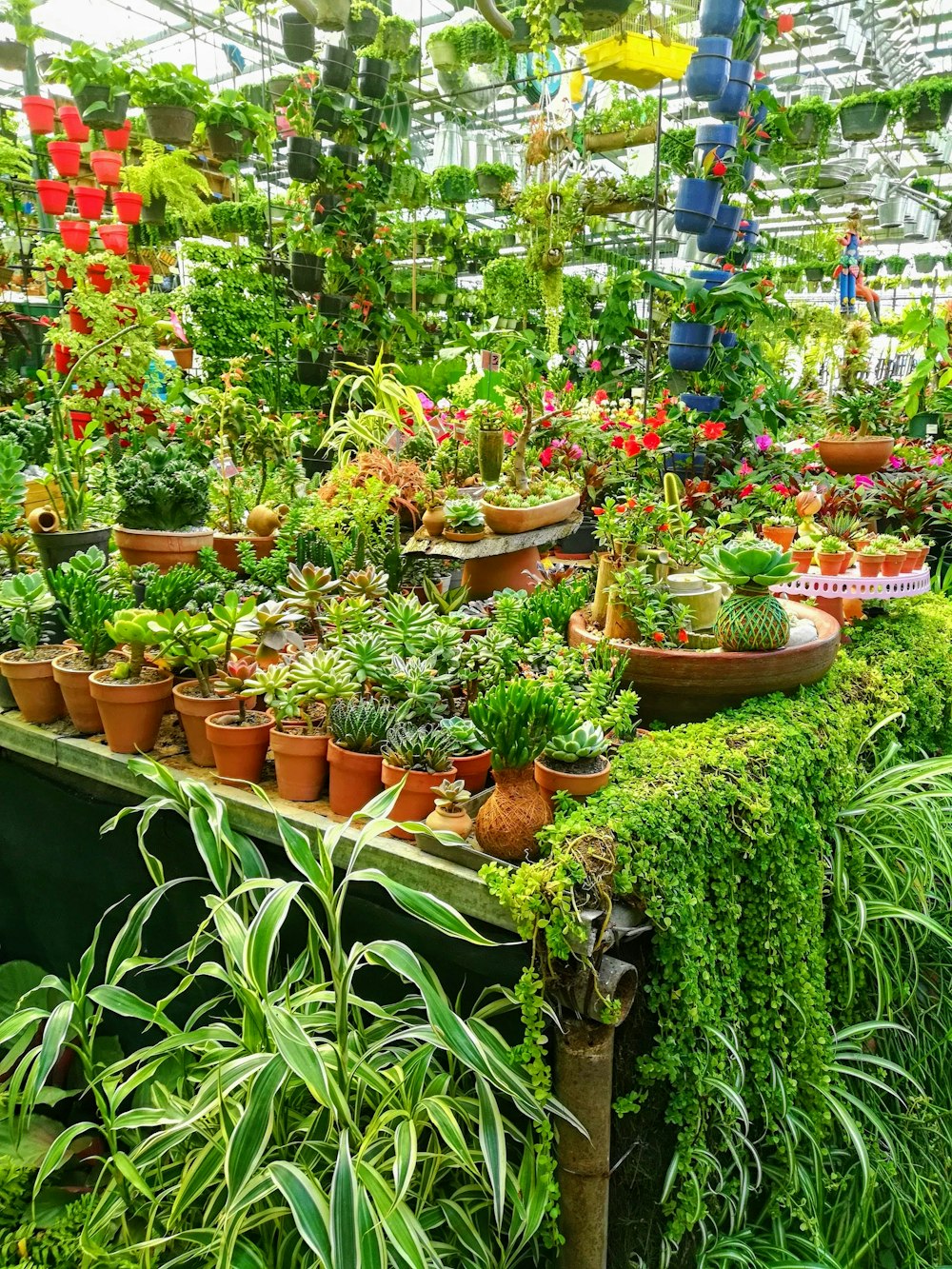 Pila de plantas verdes