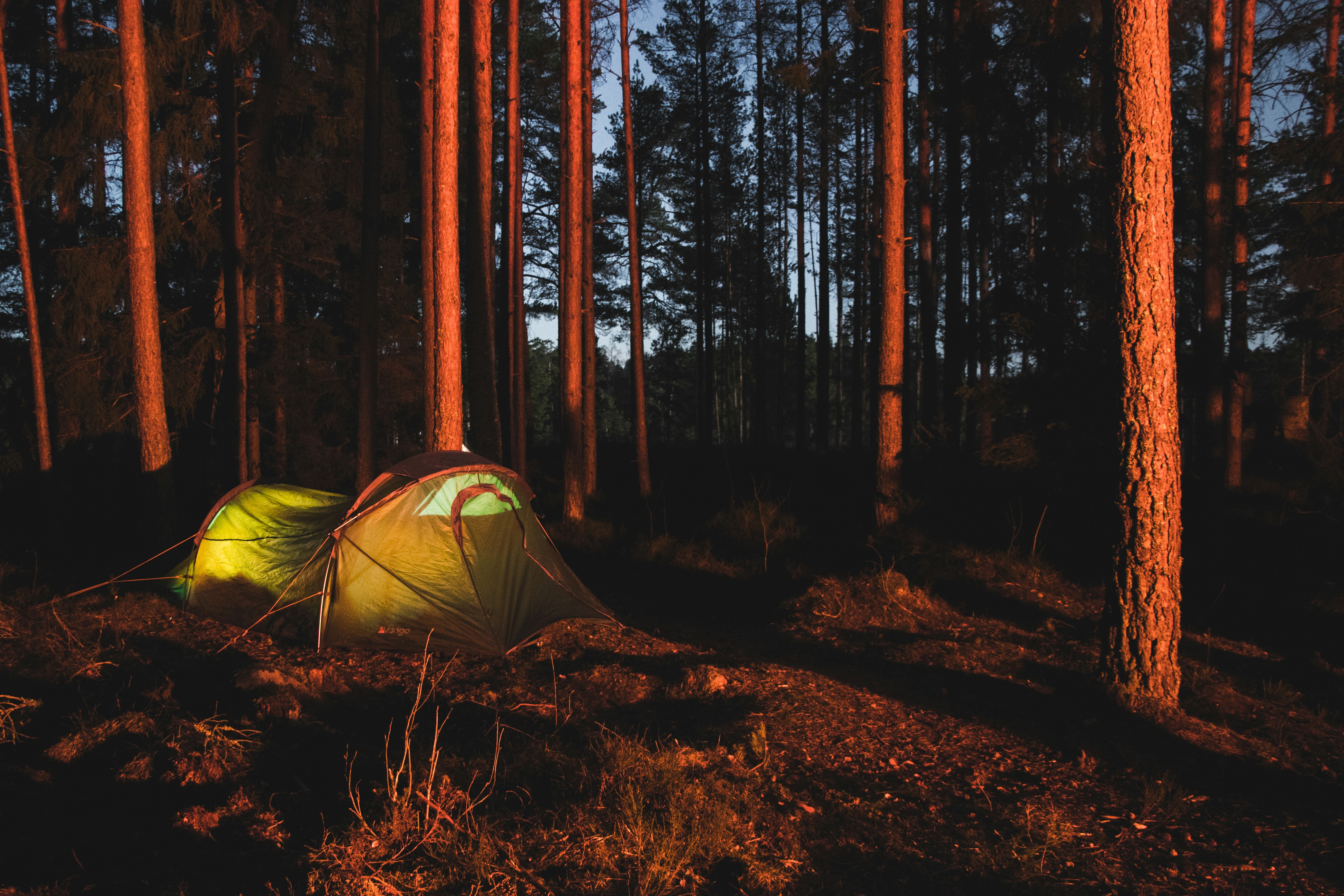 Camping in Swedish forest
