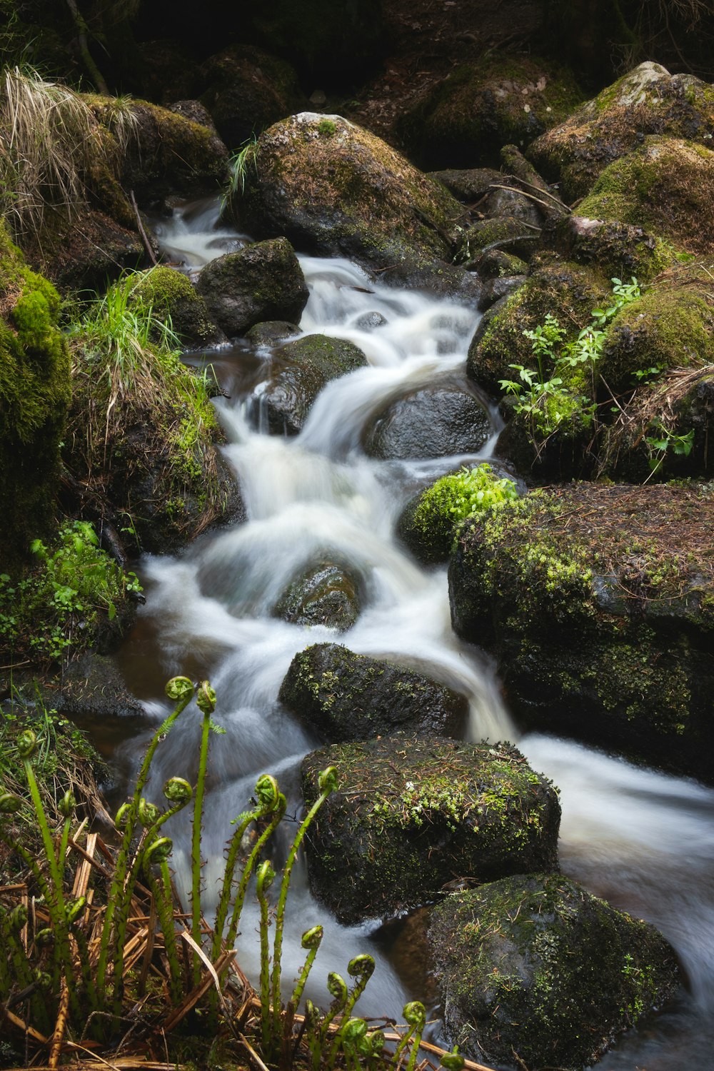 time lapse photography of river