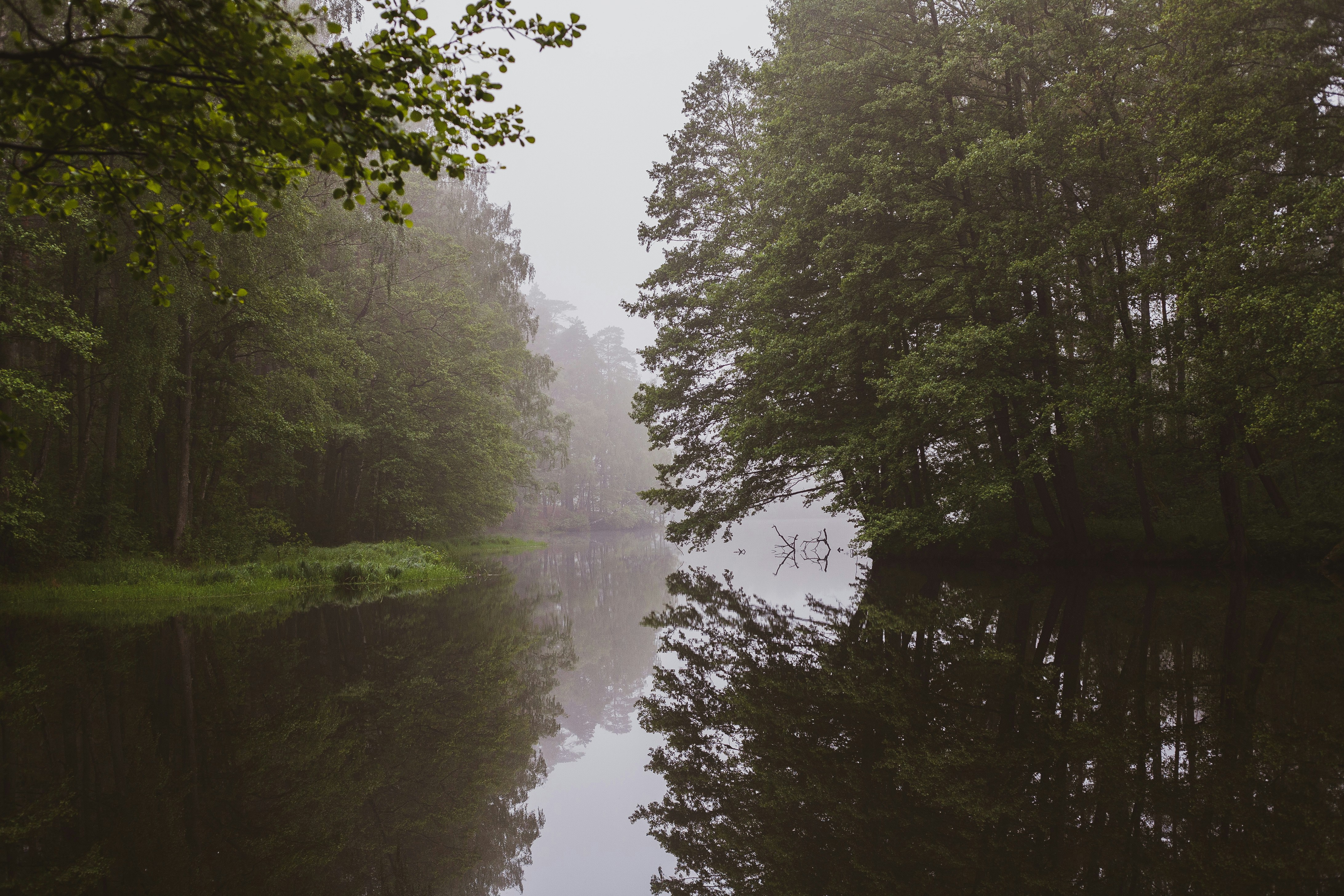 Photo by turutututuu