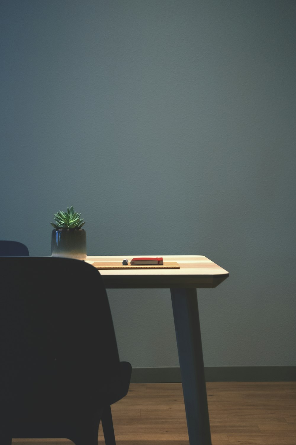 succulent plant on desk