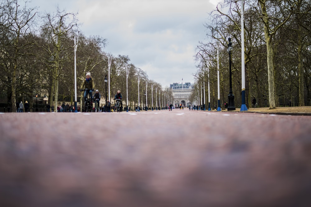 woman riding bicycle near road during daytime