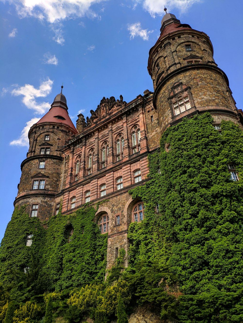 castle covered with vines