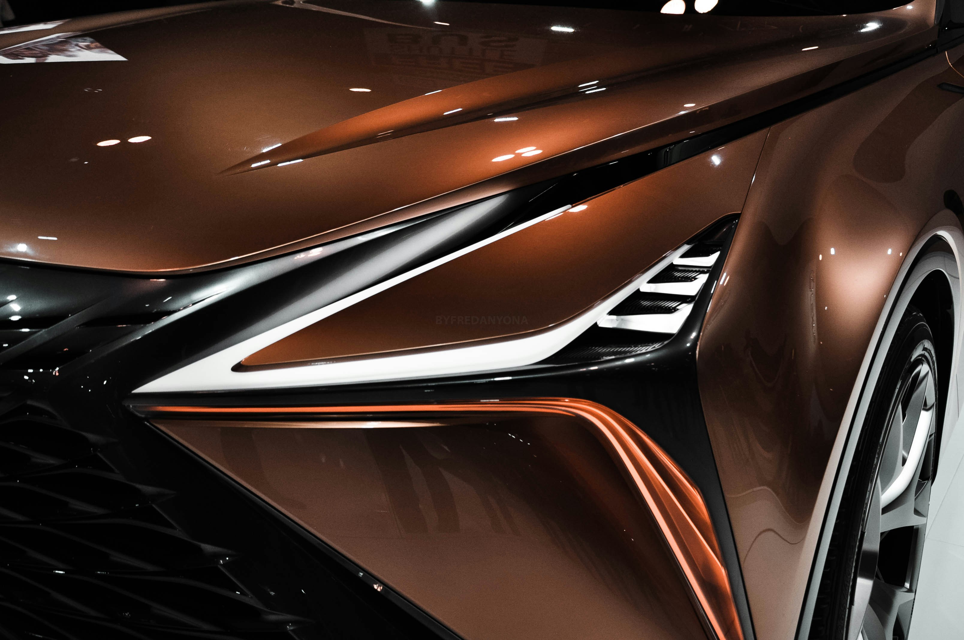 Photo by byfredanyona